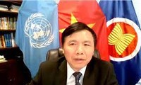 越南对哥伦比亚政府承诺致力于确保弱势群体安全表示赞赏