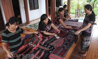越南山区和少数民族地区的性别平等事业取得突出成果