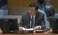 越南希望促进与国际法院在培训领域的合作