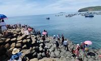 越南平定、富安、庆和三省: 向国际游客​推出“一线三地旅游线”