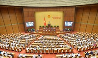  越南国会讨论社会经济问题