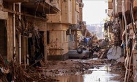 利比亚洪灾：各国积极支持克服自然灾害后果