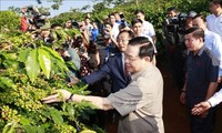 越南​国会主席视察山罗咖啡种植区并出席山罗咖啡加工厂落成典礼