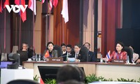 越南国会副主席阮德海在亚太议会论坛第31届年会期间开展多项重要双边活动