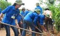 Starke Entwicklung der Bewegungen der Freiwilligen in Vietnam 