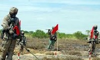 US-Medien begrüßen die Agent-Orange-Reinigungsaktion der USA in Vietnam 