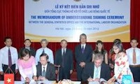 Verbesserung der Arbeiterstatistik in Vietnam
