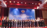 Vietnam nimmt an Konferenz der Arbeitsgruppe von  ASEAN Plus teil