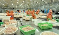 US-Ministerium für Handel will höheren Zoll gegen Pangasius aus Vietnam