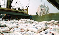 Export vietnamesischer Waren in Länder im Nahen Osten und in Nordafrika