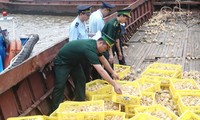 Erhöhte Maßnahmen in Vietnam gegen Vogelgrippenvirus H7N9