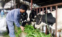 Vier Hochschulabsolventen starten Karriere mit Rinderfarm