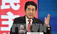 Wahl im japanischen Unterhaus: Probe für Abenomics