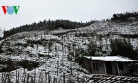 Schnee in Sapa
