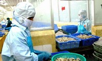 USA senken Zoll wegen Dumpingpreis für vietnamesische Garnelen bis auf unter ein Prozent