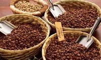Nachhaltige Entwicklung des Kaffee-Anbaus 