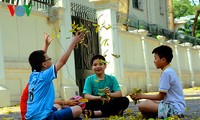 Hanoi in der Jahreszeit, in der die Bäume ihre Blätter fallen lassen
