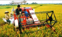 Anwendung der Technologien zur Landwirtschaftsentwicklung in ländlichen Gebieten