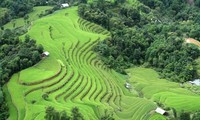 Einzigartige Kultur- und Tourismustage mit dem Terassenreisanbau in Hoang Su Phi