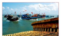 Meereswirtschaftsentwicklung in Ganh Hao