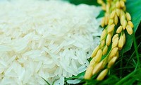 Markenbildung von vietnamesischem Reis für Export
