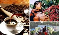 Tag des vietnamesischen Kaffees