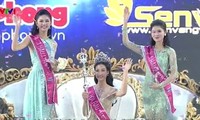 Do My Linh ist Miss Vietnam 2016
