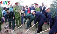 Vizepremierminister Truong Hoa Binh nimmt an Fest zum Anpflanzen von Bäumen teil