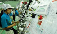 Förderung der Zusammenarbeit zwischen vietnamesischen Unternehmen und FDI-Unternehmen 
