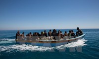 Migranten: Ägypten vereitelt Menschenschmuggel nach Europa