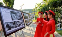 Ausstellung der Kunstbilder Vietnams 2018