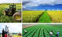 Förderung der Restrukturierung für nachhaltige Entwicklung der Landwirtschaft