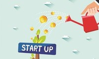 Die Rolle der Start-Up-Unternehmen