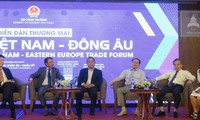 Vietnam hat mehr Potenzial für den Export von Waren nach Osteuropa