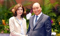 Premierminister Nguyen Xuan Phuc empfängt internationale Experten beim Forum für Reform und Entwicklung Vietnams 2019