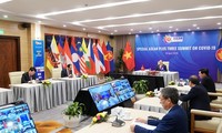   Medien über hochrangige Online- Konferenz ASEAN und ASEAN+3