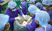 Erste gelungene Transplantation des Patienten mit interstitieller Lungenerkrankung