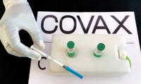 Regierung stellt COVAX-Mechanismus knapp 420.000 Euro zur Verfügung