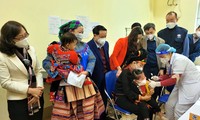 WHO begleitet, unterstützt Medizinbereiche in den Provinzen Vietnams