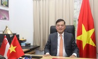Förderung der strategischen Partnerschaft zwischen Vietnam und Singapur
