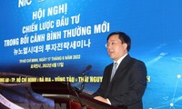 Förderung der Zusammenarbeit zwischen Vietnam und Südkorea in Investition und Innovation