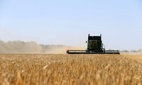 Erste Schifffahrt bringt Mais aus der Ukraine in den Export
