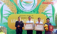 Hau Giang erzielt zwei Reis-Rekorde