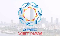 ຫວຽດນາມ ສືບຕໍ່ຜັນຂະຫາຍບັນດາຂໍ້ລິເລີ່ມຕັ້ງໜ້າໃນປີ APEC 2017
