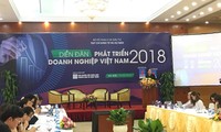 베트남기업 상황, 밝은 면모
