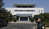 한국 – 조선 인민민주주의공화국; 임업협력 논의