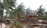 900 people killed, missing after Bopha storm in Philippines