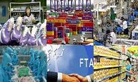 Vietnam to finalize FTA with Customs Union of Russia, Belarus, and Kazakhstan 