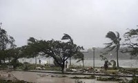 No Vietnamese deaths reported after cyclone Pam