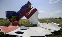 MH17 disaster: Malaysia pushes for criminal tribunal